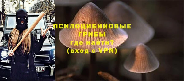 спайс Аркадак