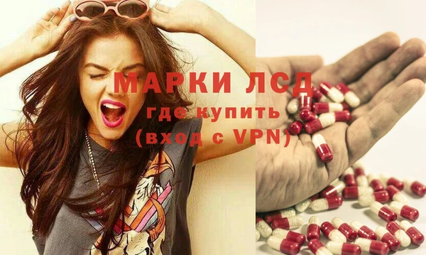 спайс Аркадак