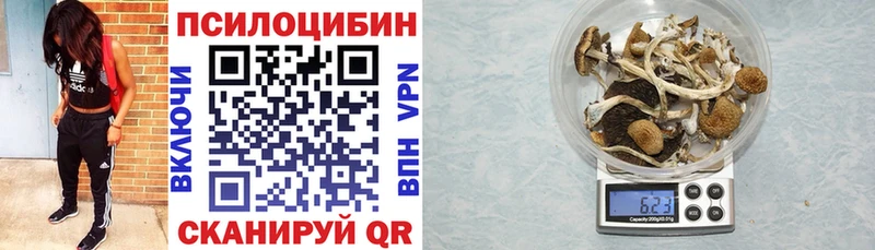 Псилоцибиновые грибы мицелий Сертолово